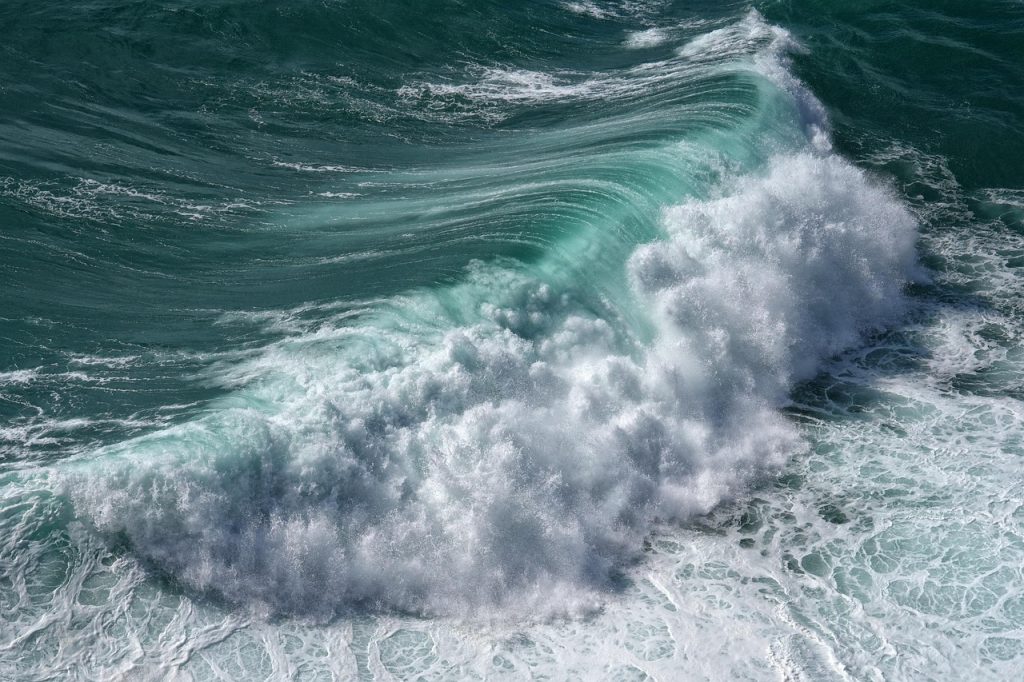 Understanding Red Tide Causes: Impact on Marine Life and Coastal Communities Understanding Red Tide Causes: Impact on Marine Life and Coastal Communities