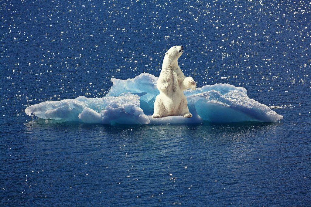 Understanding the Chills: Polar Vortex Explained Understanding the Chills: Polar Vortex Explained