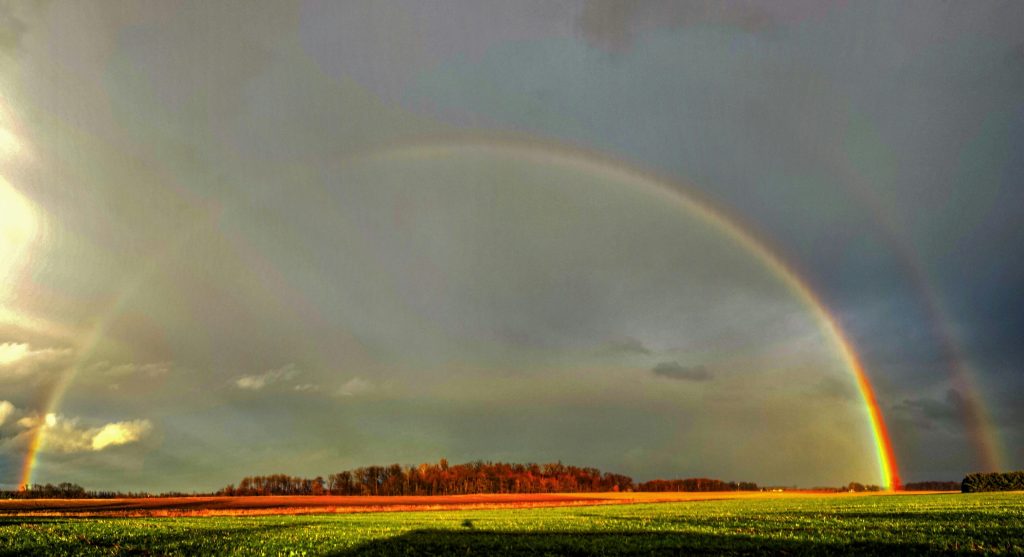 Understanding Fire Rainbows: Nature’s Colorful Phenomenon Explained